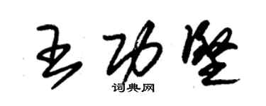 朱锡荣王功坚草书个性签名怎么写