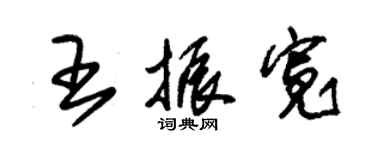 朱锡荣王振宽草书个性签名怎么写