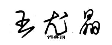 朱锡荣王尤晶草书个性签名怎么写