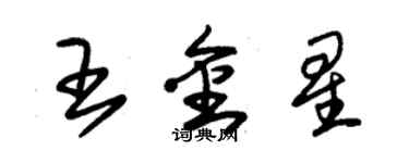朱锡荣王金星草书个性签名怎么写