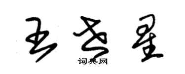 朱锡荣王世星草书个性签名怎么写