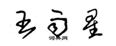 朱锡荣王雨星草书个性签名怎么写