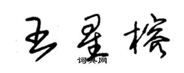 朱锡荣王星榕草书个性签名怎么写