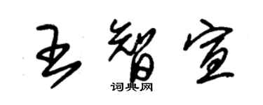 朱锡荣王智宣草书个性签名怎么写
