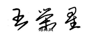 朱锡荣王荣星草书个性签名怎么写