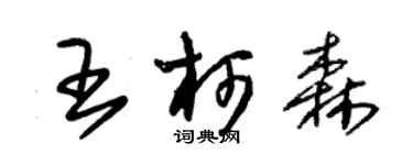 朱锡荣王柯森草书个性签名怎么写