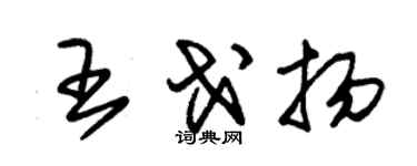 朱锡荣王戈扬草书个性签名怎么写