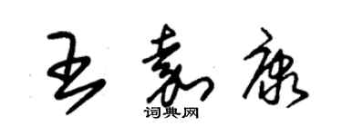 朱锡荣王嘉康草书个性签名怎么写