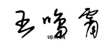 朱锡荣王鸣霄草书个性签名怎么写