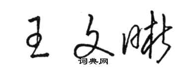 骆恒光王文晰草书个性签名怎么写