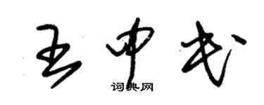 朱锡荣王中民草书个性签名怎么写