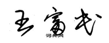 朱锡荣王富民草书个性签名怎么写