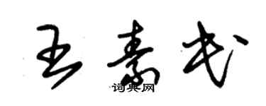 朱锡荣王素民草书个性签名怎么写