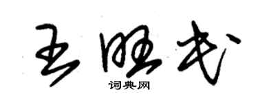 朱锡荣王旺民草书个性签名怎么写