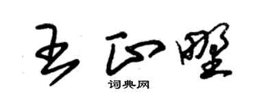 朱锡荣王正野草书个性签名怎么写