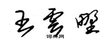 朱锡荣王云野草书个性签名怎么写