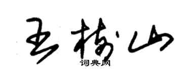 朱锡荣王树山草书个性签名怎么写