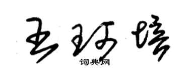朱锡荣王珂培草书个性签名怎么写