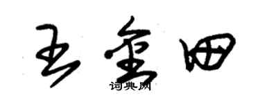 朱锡荣王金田草书个性签名怎么写