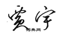 骆恒光贾宇草书个性签名怎么写