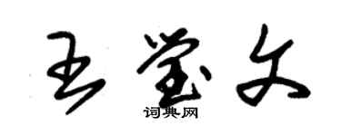 朱锡荣王莹文草书个性签名怎么写