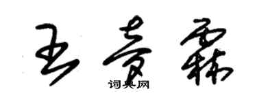 朱锡荣王梦霖草书个性签名怎么写