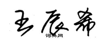 朱锡荣王辰希草书个性签名怎么写