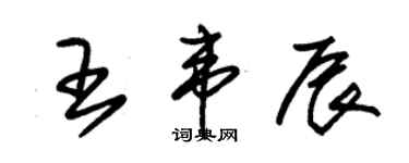 朱锡荣王韦辰草书个性签名怎么写
