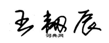 朱锡荣王韧辰草书个性签名怎么写