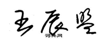 朱锡荣王辰盟草书个性签名怎么写