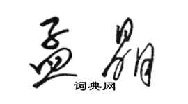骆恒光孟晶草书个性签名怎么写