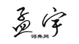 骆恒光孟宇草书个性签名怎么写