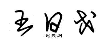 朱锡荣王日戈草书个性签名怎么写