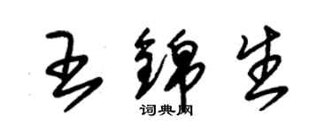 朱锡荣王锦生草书个性签名怎么写