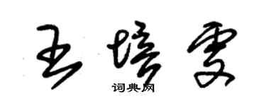 朱锡荣王培雯草书个性签名怎么写