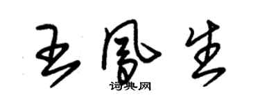 朱锡荣王凤生草书个性签名怎么写