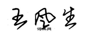 朱锡荣王风生草书个性签名怎么写