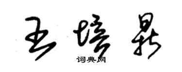朱锡荣王培鼎草书个性签名怎么写