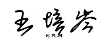 朱锡荣王培岑草书个性签名怎么写