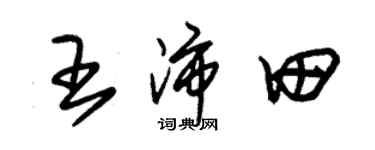 朱锡荣王沛田草书个性签名怎么写