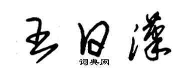 朱锡荣王日汉草书个性签名怎么写