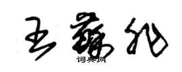 朱锡荣王苏非草书个性签名怎么写