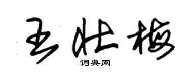 朱锡荣王壮梅草书个性签名怎么写