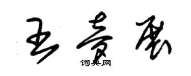 朱锡荣王梦展草书个性签名怎么写