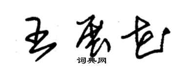 朱锡荣王展花草书个性签名怎么写