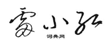 骆恒光雷小红草书个性签名怎么写