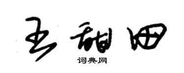 朱锡荣王甜田草书个性签名怎么写