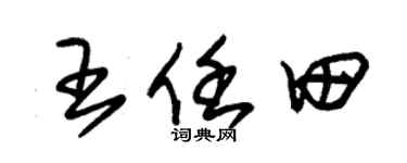朱锡荣王任田草书个性签名怎么写