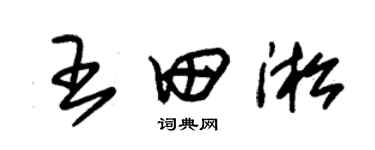朱锡荣王田淞草书个性签名怎么写