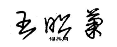 朱锡荣王昭菊草书个性签名怎么写